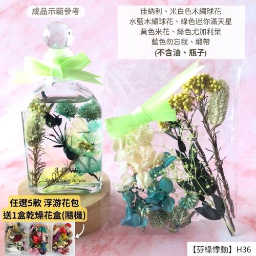 【A-ONE】浮游花DIY花材包 天然乾燥花 花材包 乾燥花材 尤加利葉 乾花 永生花勿忘我 木繡球花 H36芬綠悸動