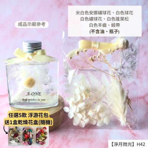 【A-ONE】浮游花DIY花材包 乾燥植物 羊齒 裝飾花 繡球花 乾花花材包 天然風乾 羊齒 蓬萊松 H42淨月微光
