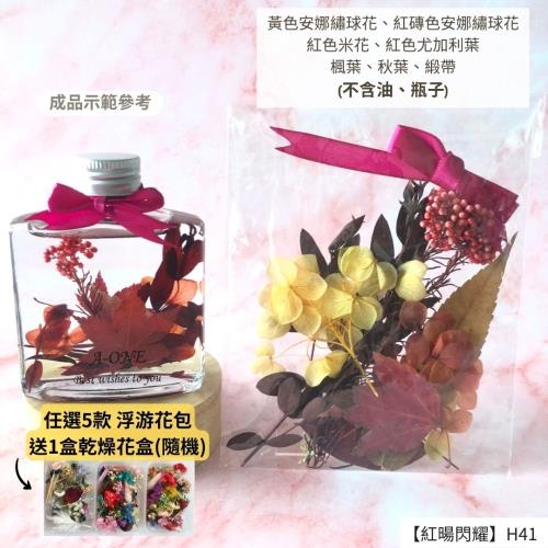 【A-ONE】浮游花DIY花材包 乾果花藝 乾花 天然植物風乾 楓葉 秋葉 繡球花 裝飾擺飾 乾燥花 H41紅暘閃耀