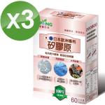 【湧鵬生技】日本歐洲雙專利認證矽膠原3入組(矽膠原:氯化膽鹼:生物素:每盒60顆:共180顆)