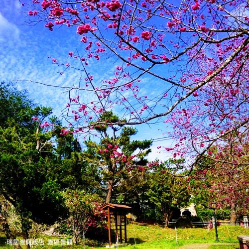 (好禮2選1)日月潭瑞居渡假飯店1泊1食2大2小平日(升等時尚四人房)