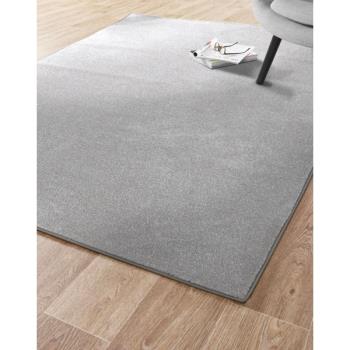 【範登伯格】 NIKE亞斯比利時進口頂級技術素面地毯 160x240cm 銀灰95