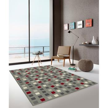 【範登伯格】 艾爾法悠意進口地毯 方格 140x200cm