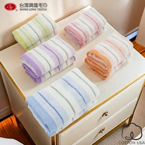 【台灣興隆毛巾】美國棉．采風25支單股毛巾(5條毛巾組/混色)