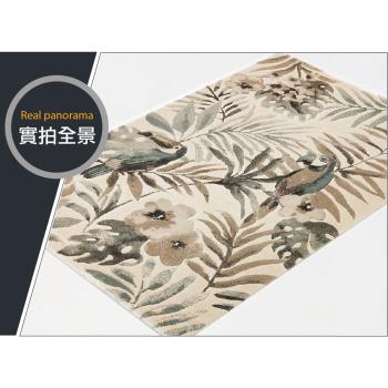 【範登伯格】歐斯特 現代都會流行進口地毯-森林鳥花園 棕 160x230cm