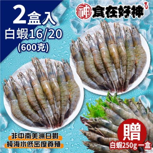 【食在好神】買大送小 ...大王白蝦(600克)*6盒 加贈白蝦4/5(250克)*3盒