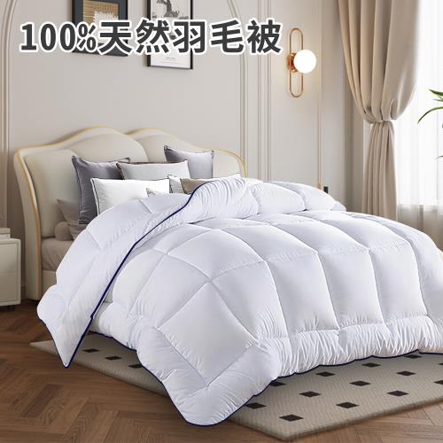  【CERES 席瑞絲】舒眠抑菌除臭100%天然羽毛被2.5Kg(羽毛被/棉被/被子/冬被)(B0831)