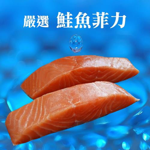 【海之醇】挪威去刺去鱗鮭魚菲力-5組10包(淨重250g/組/2包)