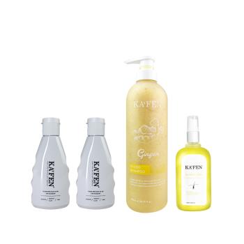 【KAFEN卡氛】《2入組》去屑洗髮精135ml【贈】生薑洗髮精760ml+髮根強健滋養液120ml