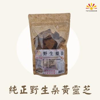 【亞源泉】純正100%野生桑黃靈芝 150g/包