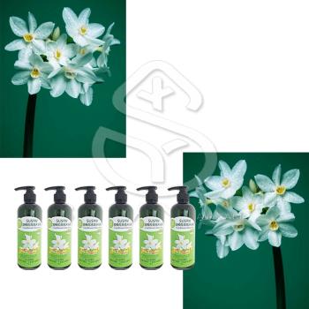 舒珊SUSAN-油桐花沐浴乳750ML-六入組