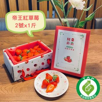 【鮮果爺爺】苗栗壢西坪2號帝王紅草莓1斤禮盒x1盒(產銷履歷驗證)