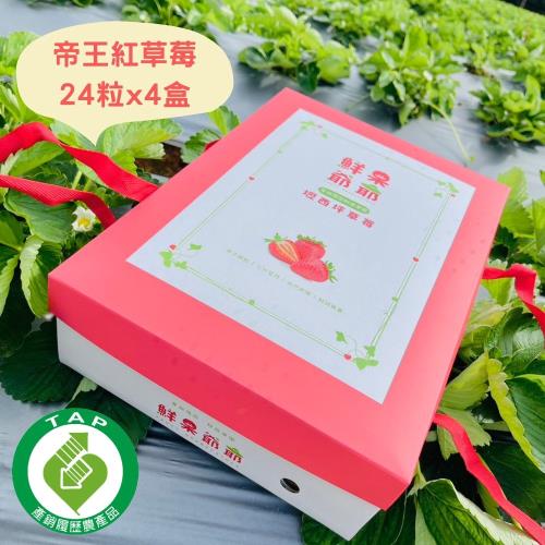 【鮮果爺爺】苗栗壢西坪精裝24粒帝王紅草莓禮盒x4盒(360g/盒_產銷履歷驗證)