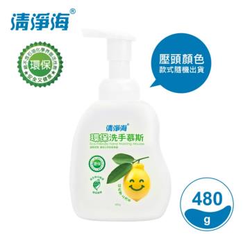 清淨海 環保洗手慕斯480g x 1瓶