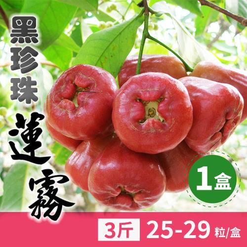 【家購網嚴選】屏東黑珍珠蓮霧 3斤 (25-29顆/盒)