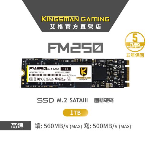 【AITC】艾格 FM250 SSD 1TB M.2 2280 SATAIII 固態硬碟