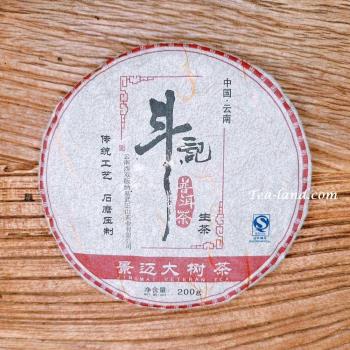 【茶韻】鬥記易武正山茶廠 景邁大樹茶 200g 小餅生茶 普洱茶(附茶樣10g非試用品收藏盒各1)