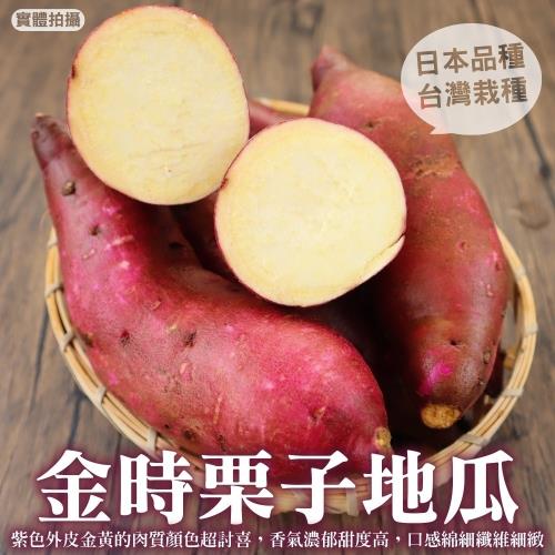 果物樂園-日本品種金時栗子地瓜(10斤±10%)