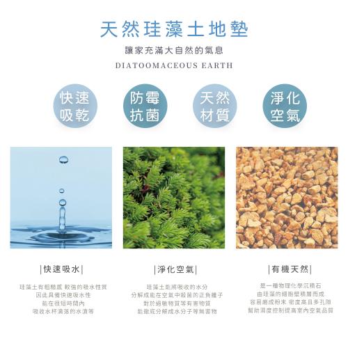 網狐家居 台灣製造_熊熊系列軟式硅藻土地墊60x40x0.5cm 吸水地墊 腳踏墊