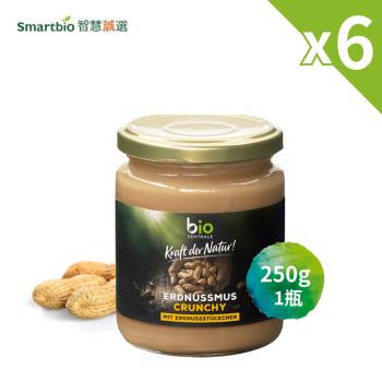 智慧誠選【德國】BZ 顆粒無加糖花生醬(250g/瓶)x6瓶