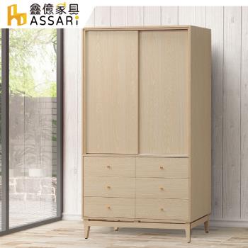 【ASSARI】喬伊4尺推門衣櫃(寬120x深59x高197cm)