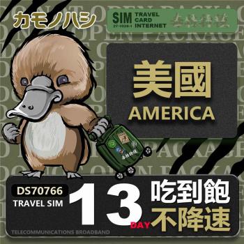 【鴨嘴獸 旅遊網絡卡】Travel Sim 美國 13天 吃到飽不降速 上網絡卡