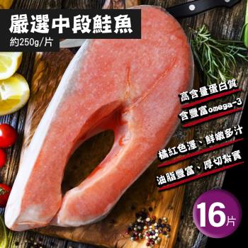 築地一番鮮 智利中段輪切鮭魚 16片(250g/片)