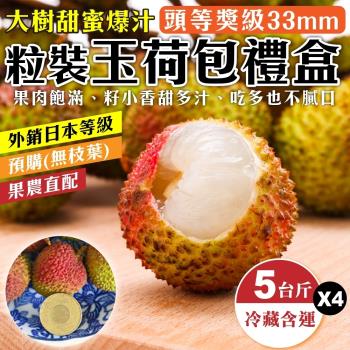 果農直配-大樹爆汁33mm+玉荷包禮盒(約5斤/盒)(去枝去葉/粒狀)x4盒