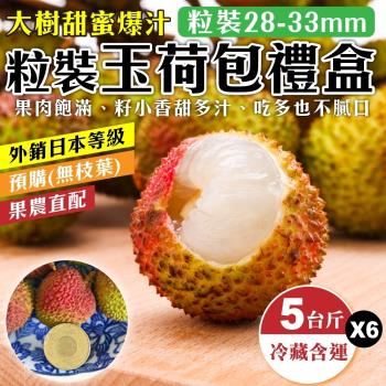 果農直配-大樹爆汁28-33mm玉荷包禮盒(約5斤/盒)(去枝去葉/粒狀)x6盒