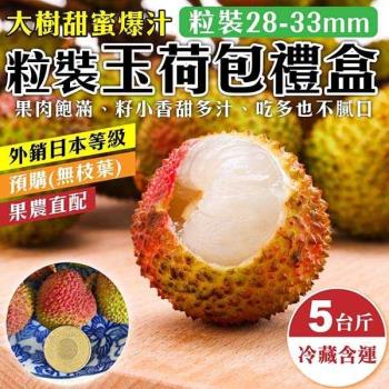 果農直配-大樹爆汁28-33mm玉荷包禮盒(約5斤/盒)(去枝去葉/粒狀)