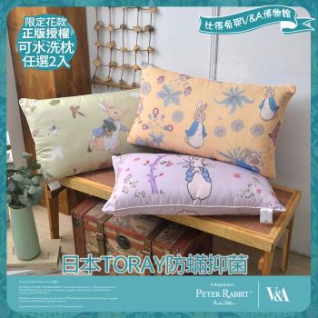 【PETER RABBIT 比得兔】比得兔與V&A博物館 日本TORAY防蹣抑菌可水洗枕-任選(2入/臺灣製/抗菌枕/枕頭)