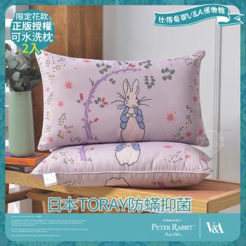 【PETER RABBIT 比得兔】比得兔與V&A博物館 日本TORAY防蹣抑菌可水洗枕-奇幻花園(2入/臺灣製/抗菌枕/枕頭)