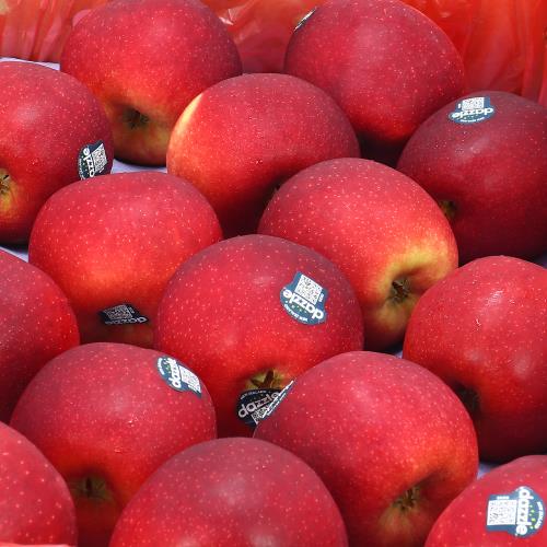 愛蜜果 PG級 紐西蘭Dazzle炫光/炫麗/閃耀蘋果15顆禮盒 (約4.3公斤/盒)