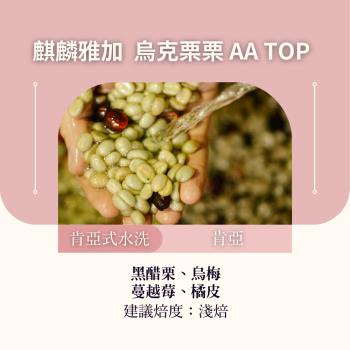 CAFEPRO 肯亞 麒麟雅加 烏克慄慄 AA TOP 500公克 (水洗 )(咖啡生豆)(二次篩選)