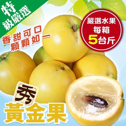 果農直配-台灣嚴選黃金果中顆(7-9顆_約5斤/箱)