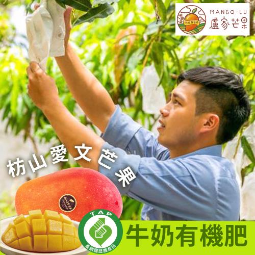 【十翼饌選果】盧家枋山銷日嚴選 寶島級愛文芒果禮盒(2.5kg/6顆/送禮/產銷履歷認證/產地常溫直送)