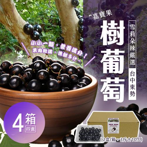 雪莉朵辣嚴選 台中東勢樹葡萄3斤±10%/箱 x4箱