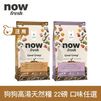 now 雞肉/鮭魚 狗狗高湯天然糧 中型犬配方 22磅 (乾濕兩吃 火雞高湯 犬糧 狗糧 WDJ)