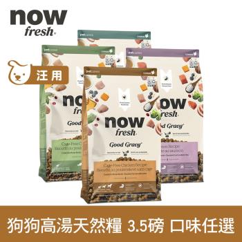 now 雞肉/鮭魚 狗狗高湯天然糧 小型犬/中型犬配方 3.5磅 (乾濕兩吃 火雞高湯 犬糧 狗糧 WDJ)