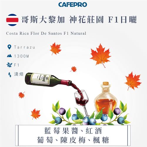 CAFEPRO 哥斯大黎加 神花莊園 F1 500公克 (日曬  )(咖啡生豆)(二次篩選)