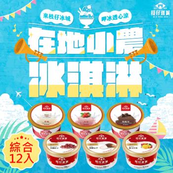 百年枝仔冰城 小農經典冰淇淋綜合組(12杯/組)