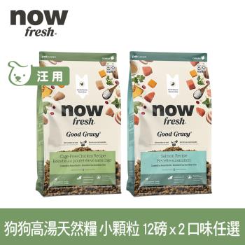 now 雞肉/鮭魚 狗狗高湯天然糧 小型犬配方 12磅 兩件組 (乾濕兩吃 火雞高湯 犬糧 狗糧 WDJ 四葉草顆粒)