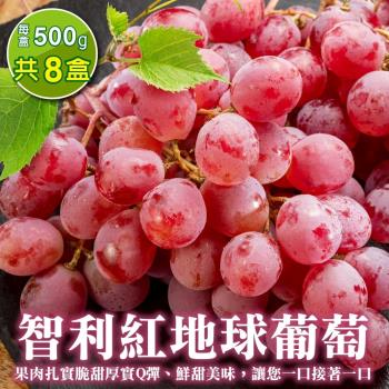 果物樂園-智利紅地球葡萄(500g/盒)x8盒