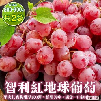 果物樂園-智利紅地球葡萄(500g/盒)x4盒