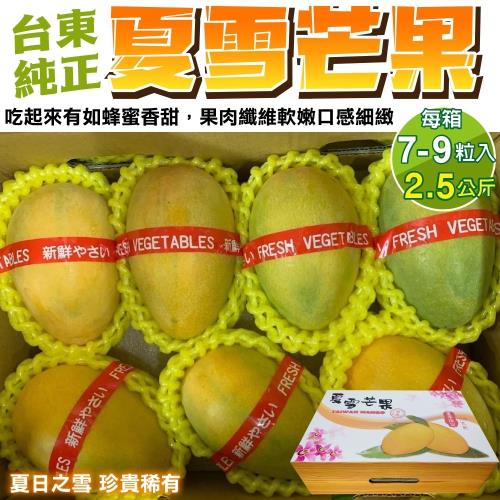 果農直配-台東純正夏雪芒果A級中果2箱(7-9入_約2.5kg/箱)