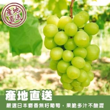 果物樂園-日本麝香葡萄原箱8-9串(約5kg/箱)