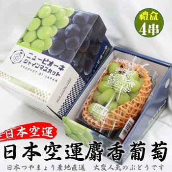 果物樂園-日本長野/山梨縣溫室麝香葡萄4串(每串350g±10%)
