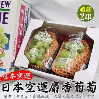 果物樂園-日本長野/山梨縣溫室麝香葡萄2房禮盒(每串350g±10%)
