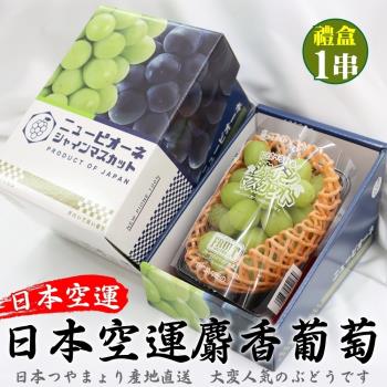 果物樂園-日本長野/山梨縣溫室麝香葡萄(1串/每串350g±10%)