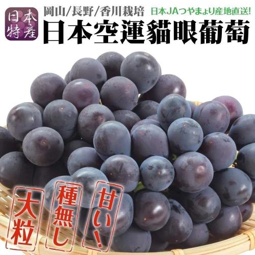 果物樂園-岡山/香川/長野貓眼葡萄禮盒ｘ2盒(1房禮盒_700g/串)